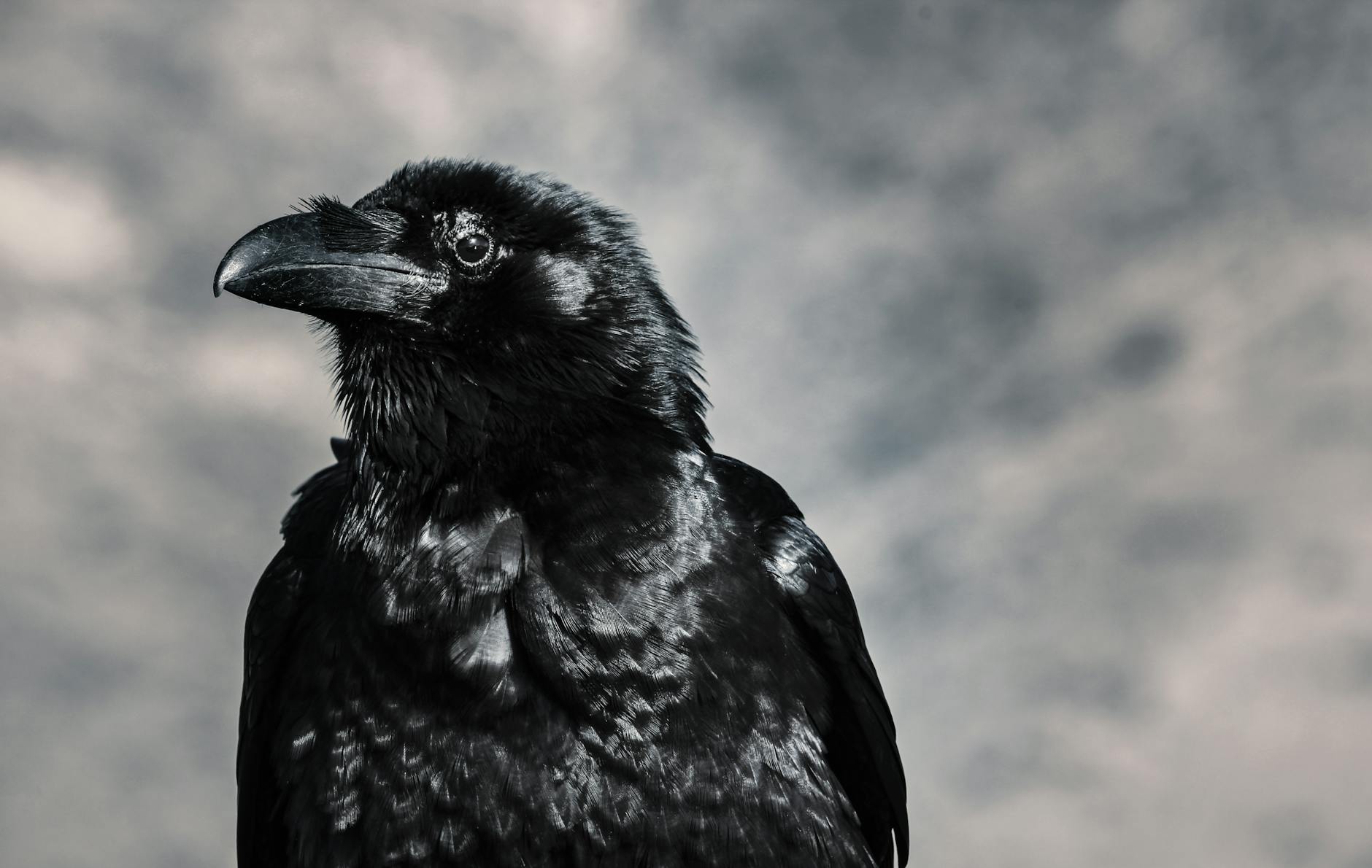 Ethical and Legal Boundaries in Competitive Intelligence