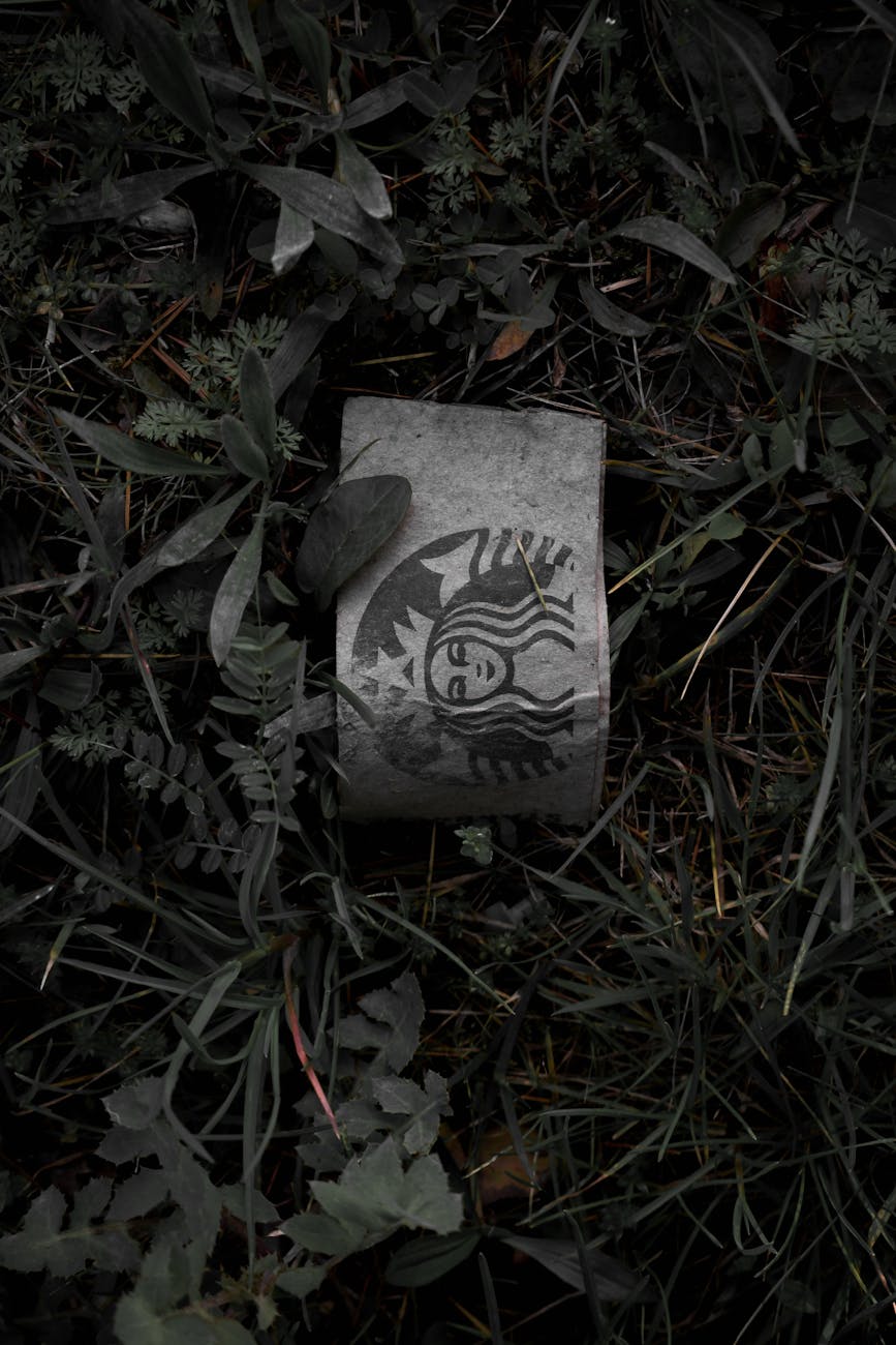 The Name We Tried to Kill (and Why It&nbsp;Won)